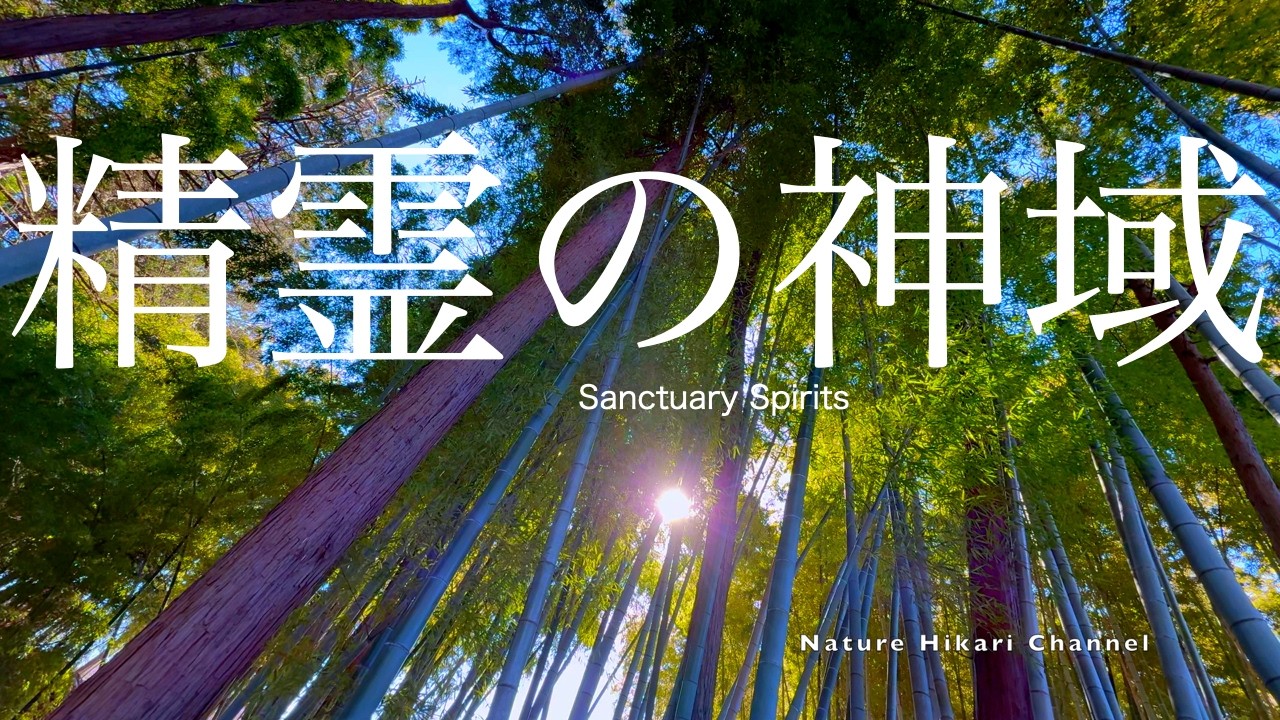 【日本の美しい自然】【春】仏閣、木々の木漏れ日、散策