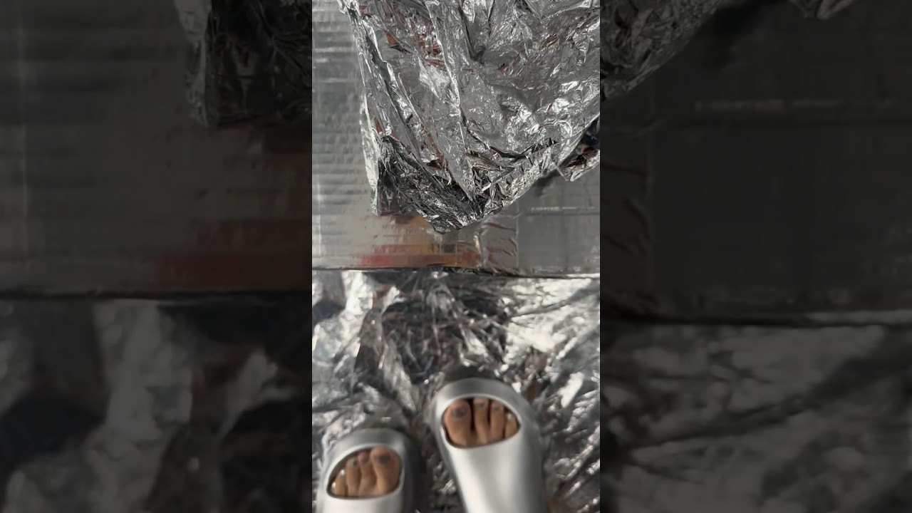 How This Alien 👽 Preserves Their Food Supply 🤣🐣🤣 