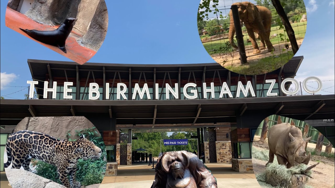 Birmingham Zoo Alabama