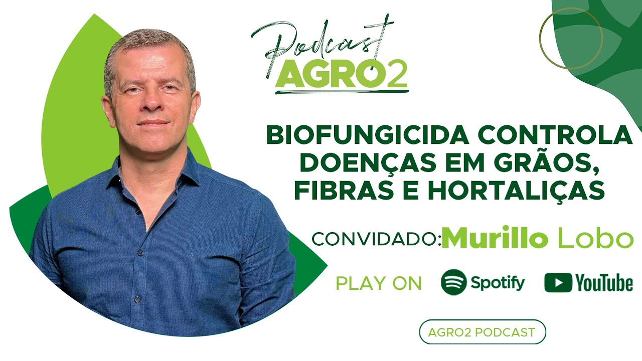 Biofungicida Embrapa: controle de doen&ccedil;as, crescimento de plantas de gr&atilde;os, fibras e hortali&ccedil;as #336