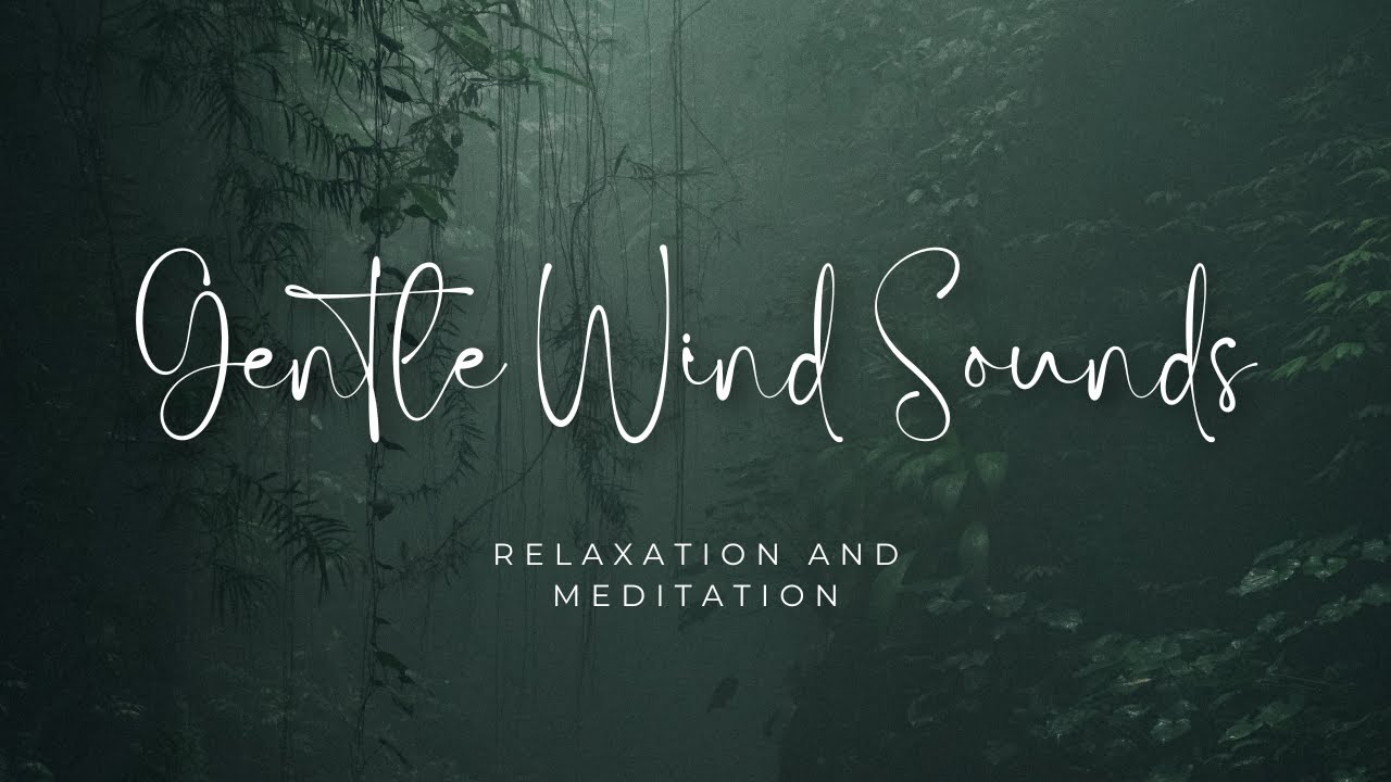 Gentle Wind Sounds for Relaxation and Meditation | Soothing Nature Ambience