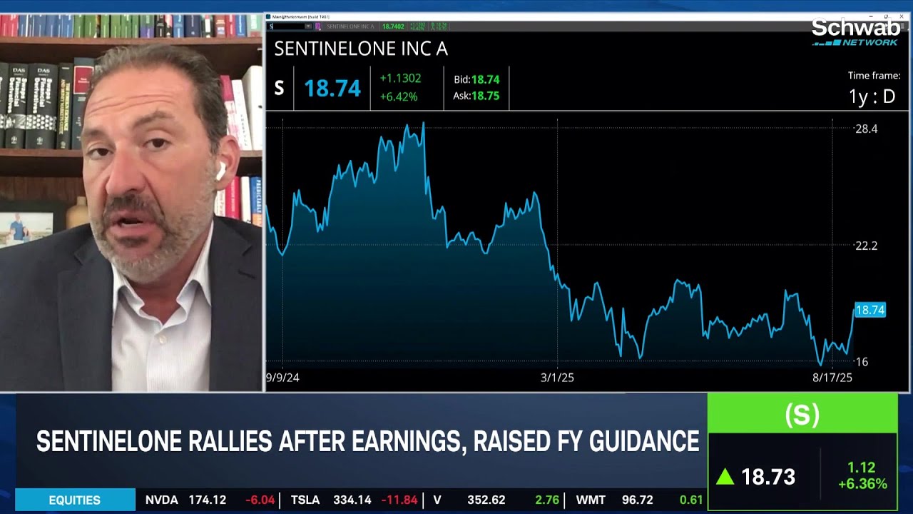 SentinelOne (S) Supports Cybersecurity Bull Case Through Earnings