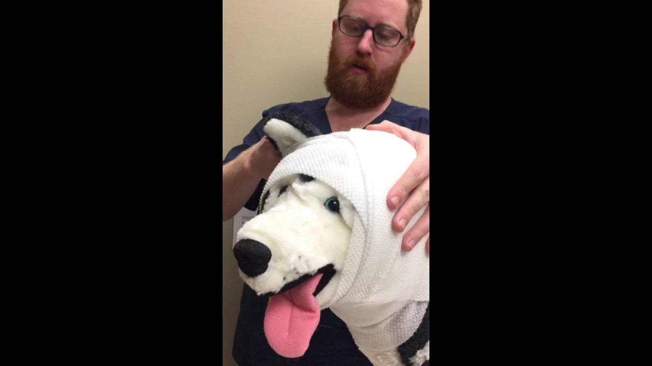 Application and Removal of Bandages, Splint, and Sling
