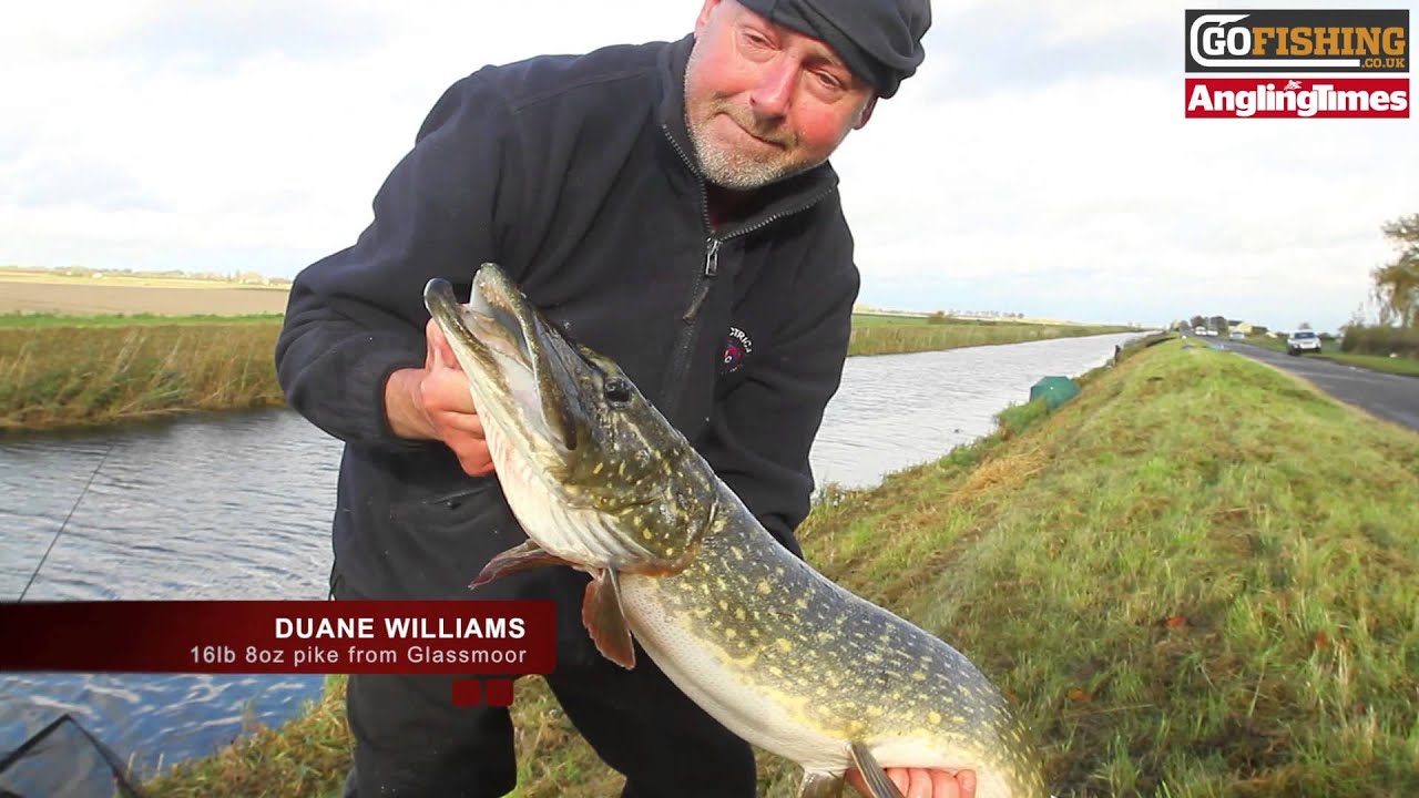 British Pike Championships Final 2012