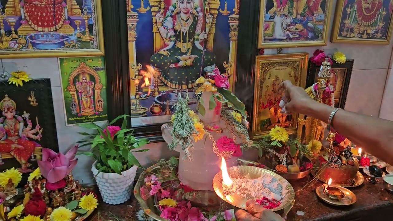 ENGAL VETTU CHITIRAI MADHA SANI MAHA PIROTHOSA VALIPADU OM NAMASHIVAYA