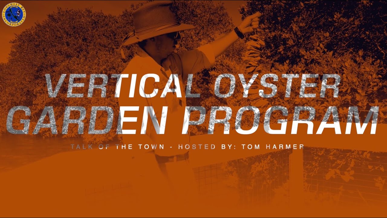 Talk Of The Town: Vertical Oyster Garden Program