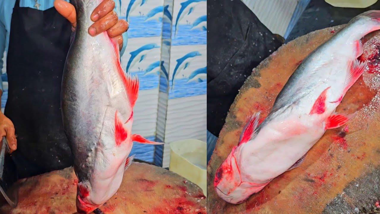 Basa fish cutting skills!! Sagar fish hoodi Bangalore 