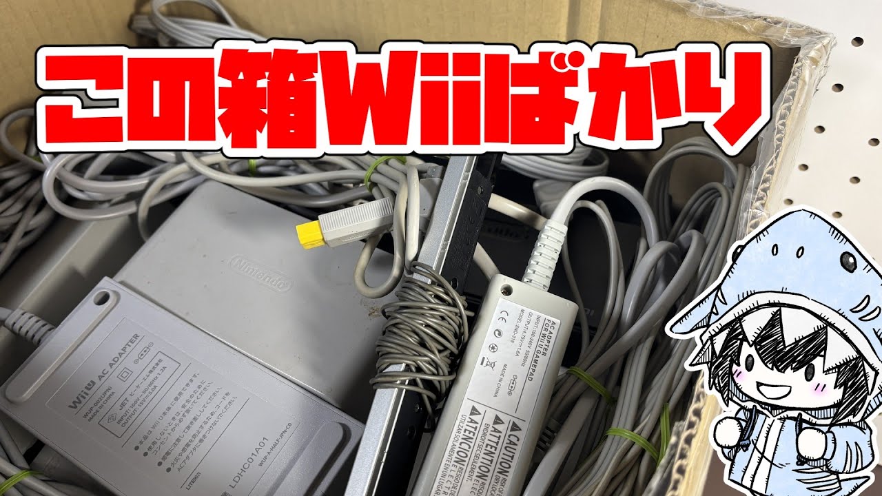 4500円のジャンク箱開封、なんでWiiばかり出るんだ