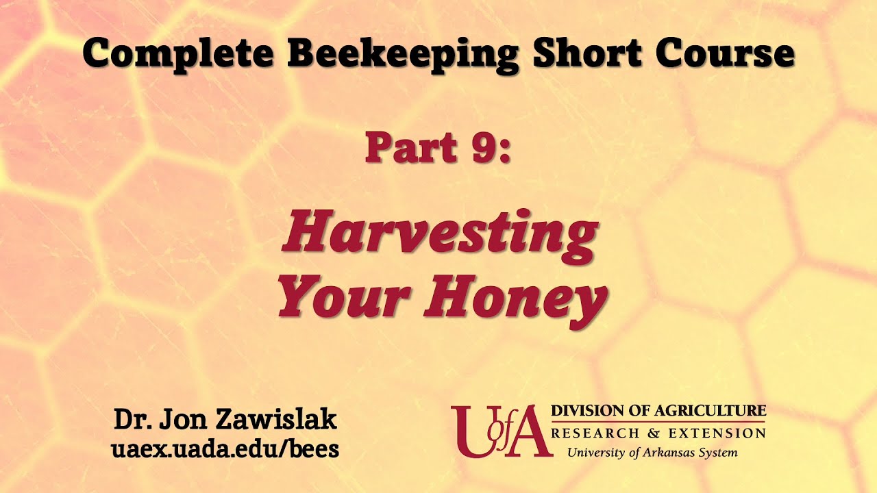 Part 9: Harvesting Your Honey