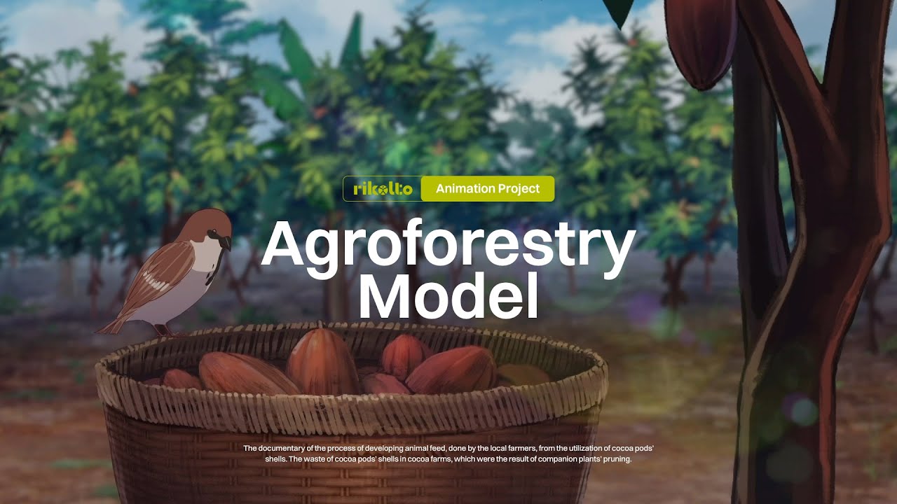 Rikolto Agroforestry Animation Video | 2D Animated Short Movie Educational