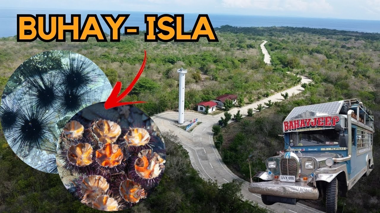 SIMPLENG BUHAY SA ISLA | ANG DAMI NAMING NAKAIN NA TUYOM! Moving Jeepney House