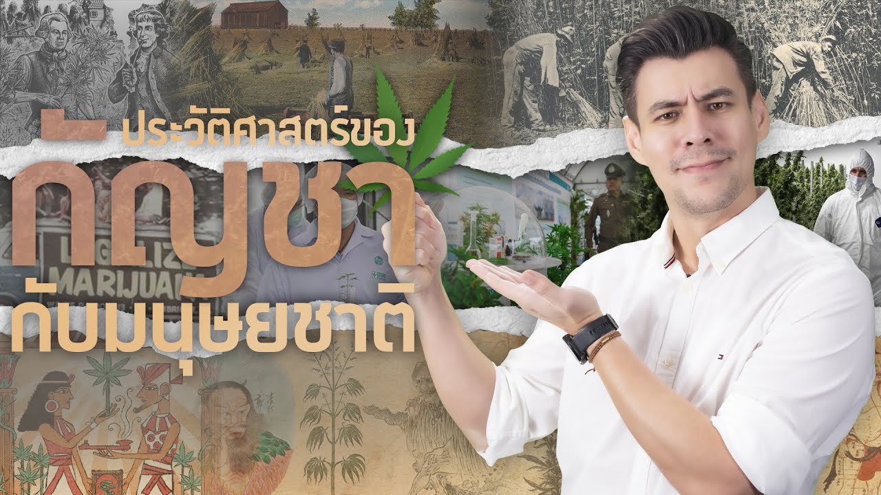 ประวัติศาสตร์ของกัญชากับมนุษยชาติ [ ร่วมกด JOIN สนับสนุนเราหน่อยนะ ]