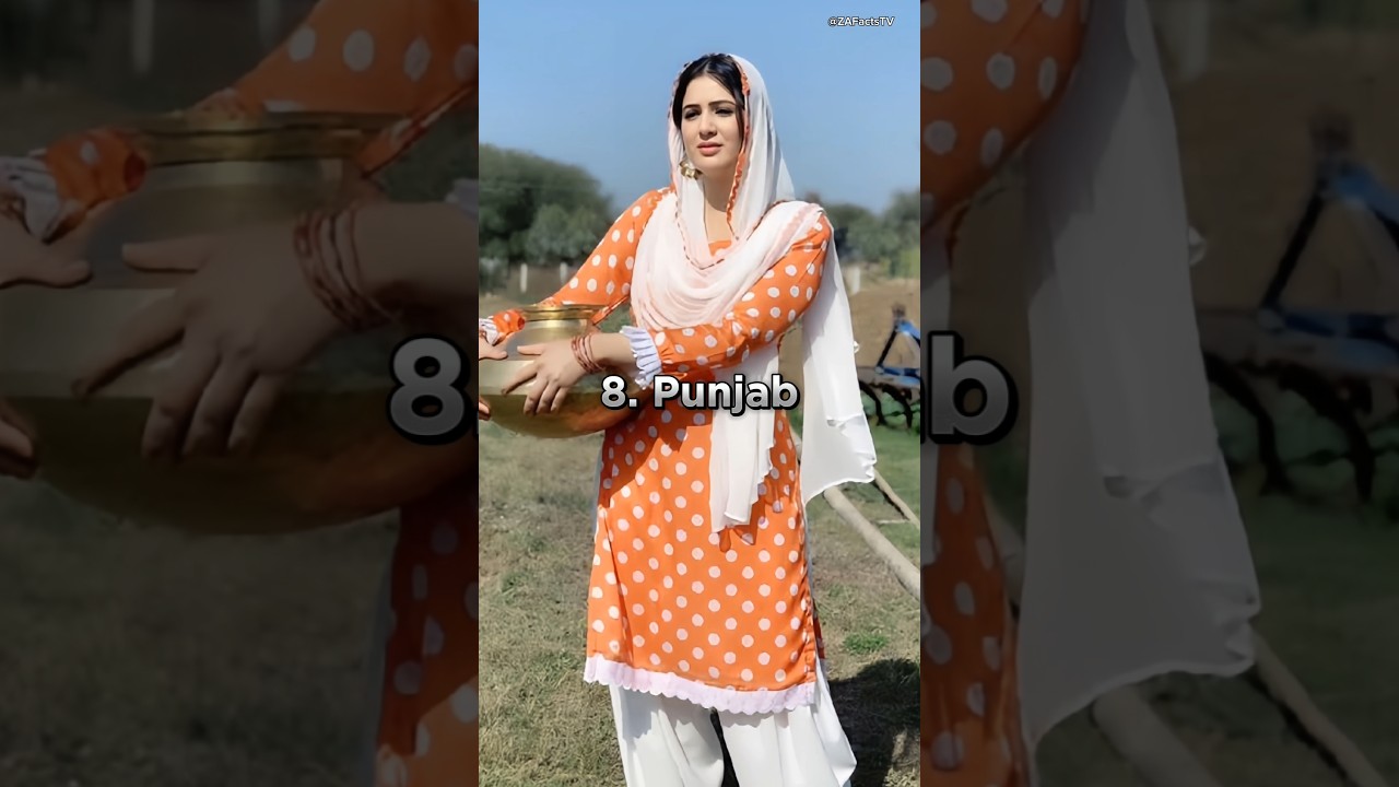 Top 10 Indian 🇮🇳 States With Their Female Traditional Dress 👗 #shorts