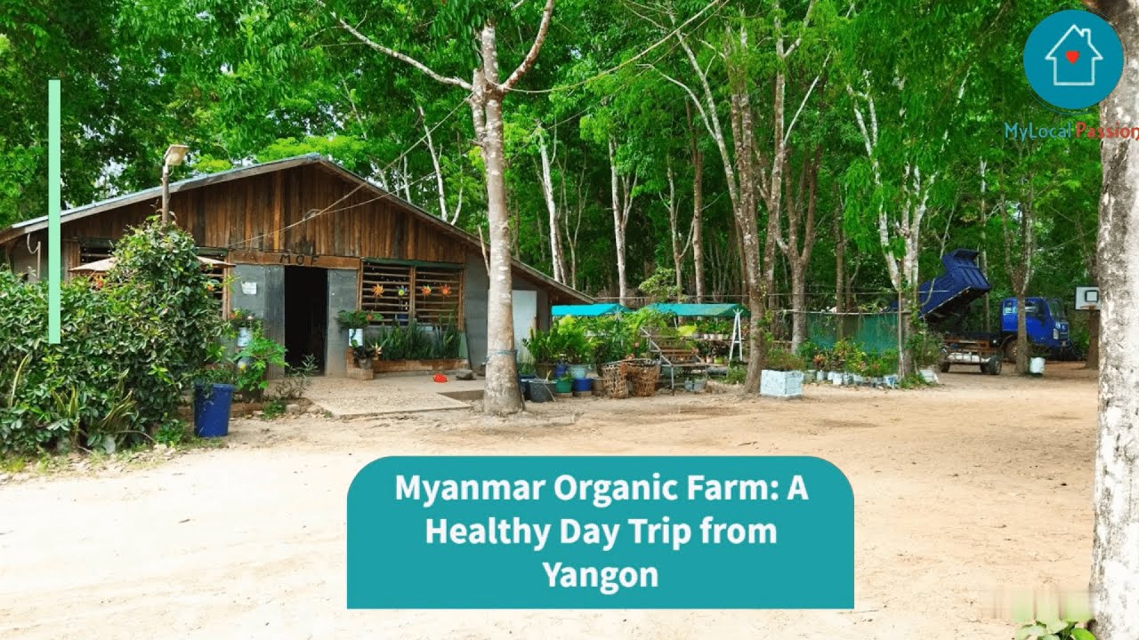 Myanmar Organic Farm: A Healthy Day Trip From Yangon