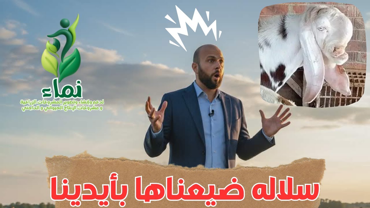 سلاله ضيعناها بأيدينا