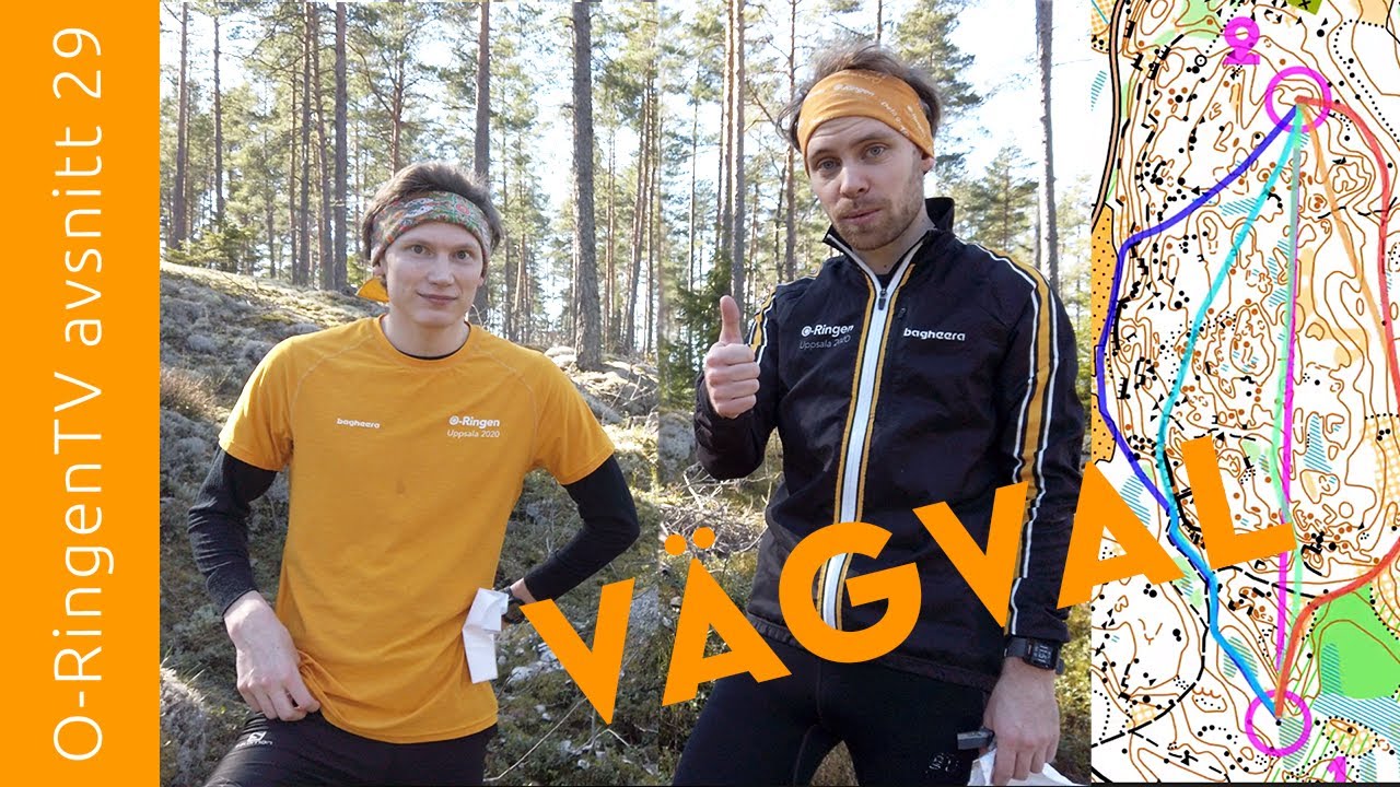#29 V&auml;gvalen du ska ha koll p&aring;