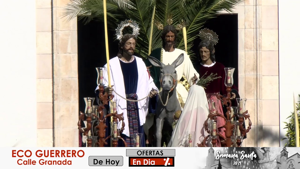 Domingo de Ramos 2019 - Hermandad de La Borriquita