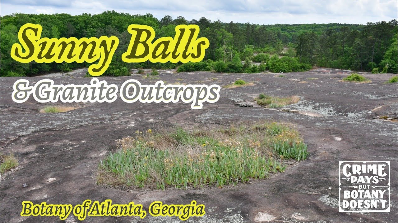 Atlanta, Georgia : Sunny Balls and Granite Outcrops