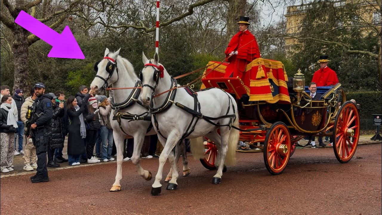 Spectacular Horse and Carriage Depart the King’s Private Residence: Plus Royal Family Sighting!