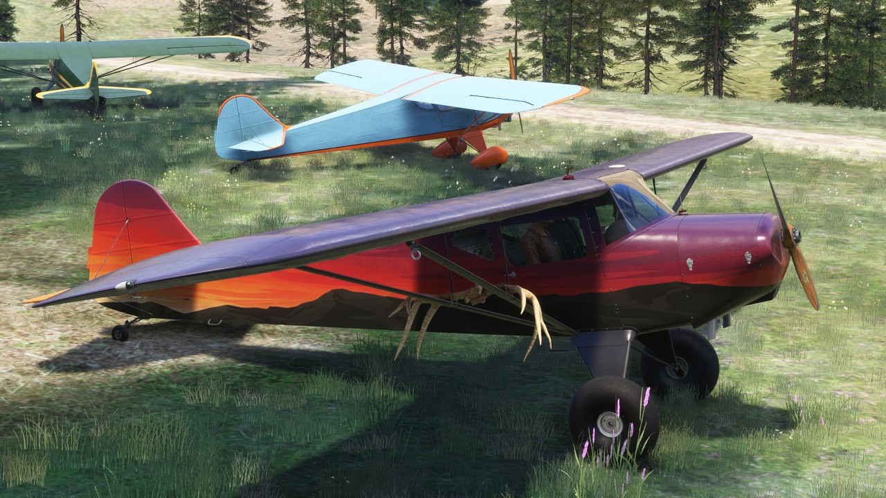 Microsoft Flight Simulator 2024 | Полет на новом Taylorcraft BC-12D от Got Friends!