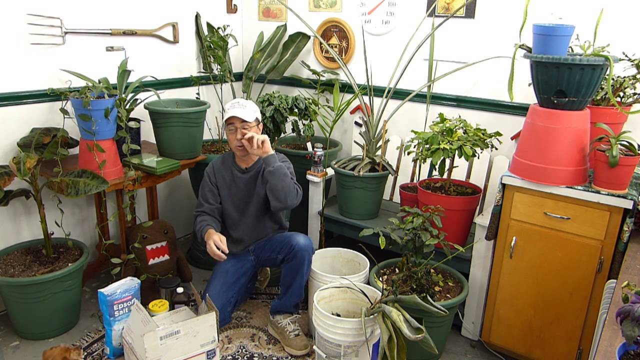 Dangers of Organic Gardening