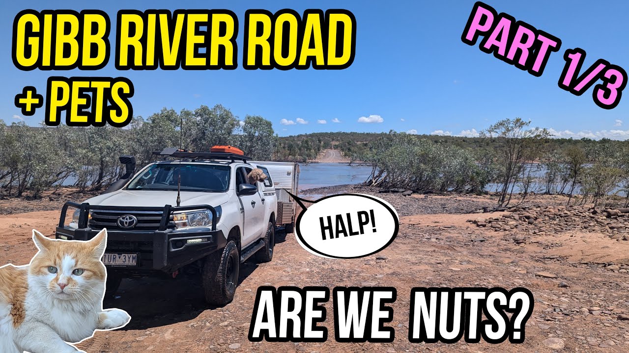 Surviving the Gibb with Pets! Pt1 EPIC Off-Grid Kimberley Itinerary | Broome - Mt Elizabeth Station