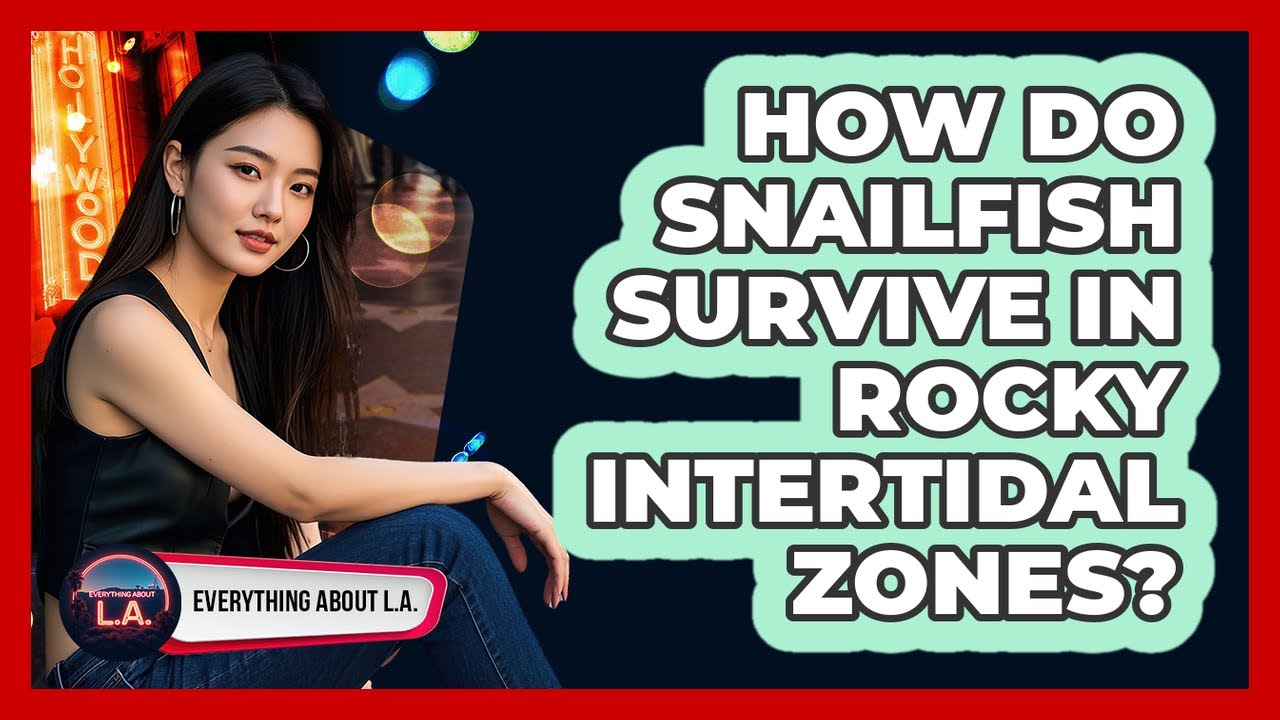 How Do Snailfish Survive in Rocky Intertidal Zones?