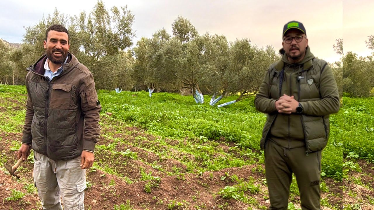 🔴من ضيعة الخاضر: كيحمر البطاطس باش يصدق بها في سبيل الله ❤️🥔..هاشنو قال على لي كيحاربره