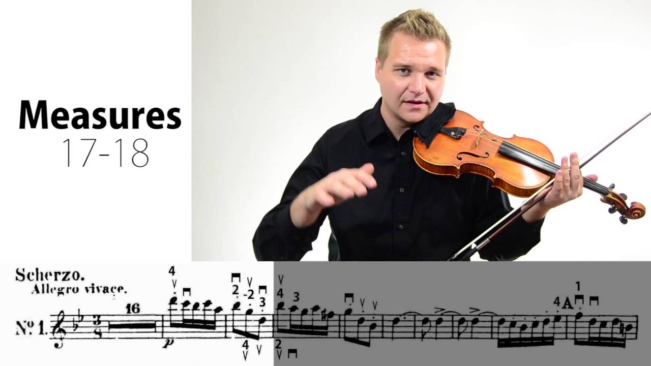 National Youth Orchestra USA Violin Audition Excerpts Lesson