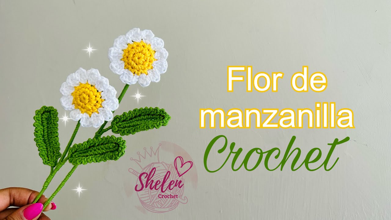Flor de Manzanilla crochet 😍🥰🌼