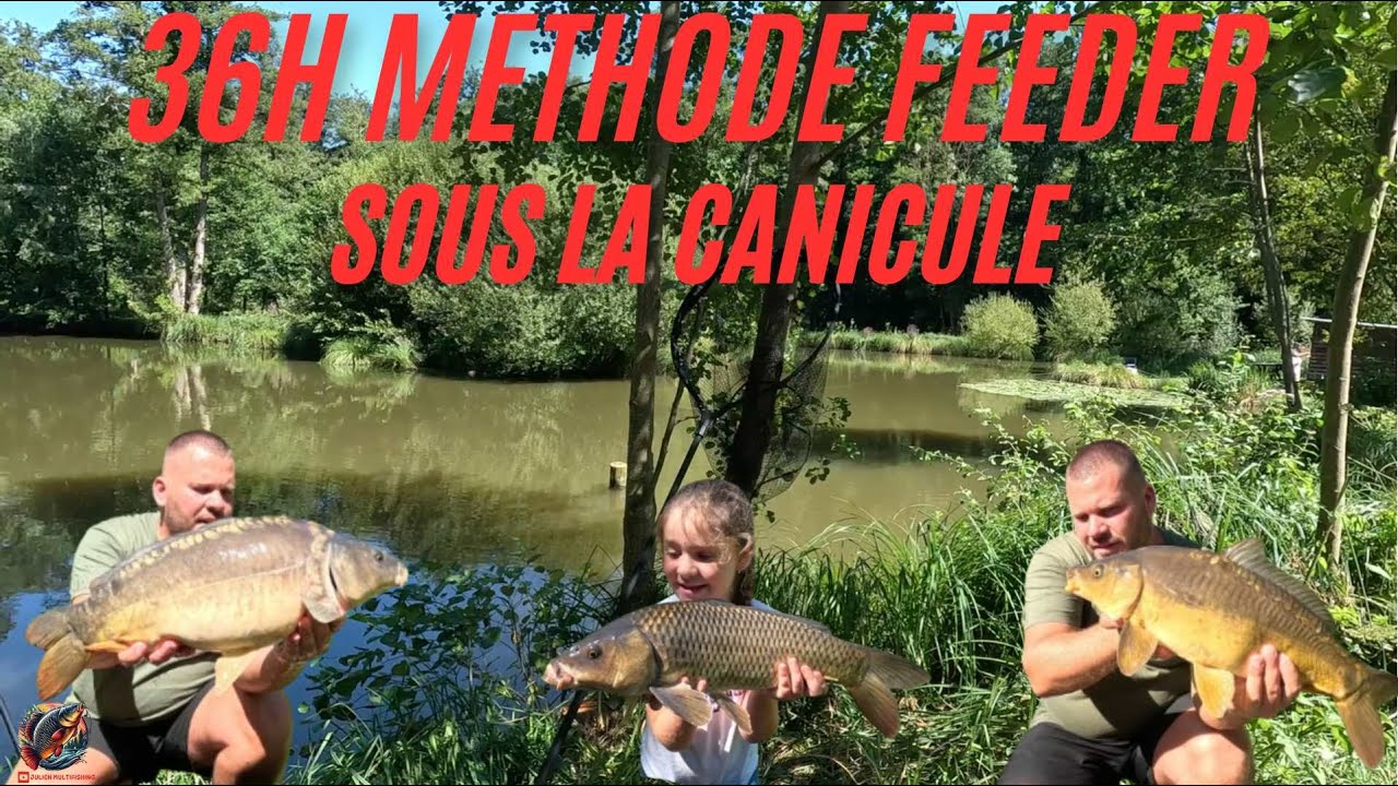Peche au METHODE FEEDER sous la canicule