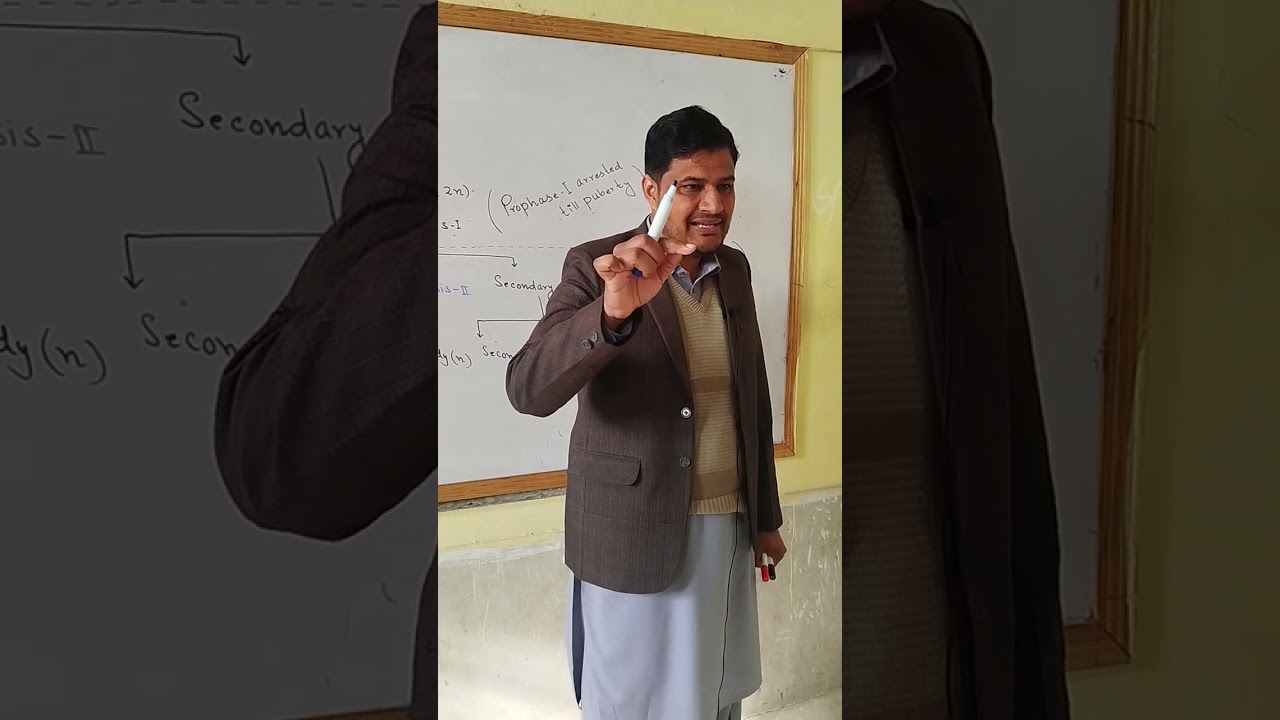 Class 12 biology chapter Reproduction. Oogenesis #classxiibiology #science #foryou 