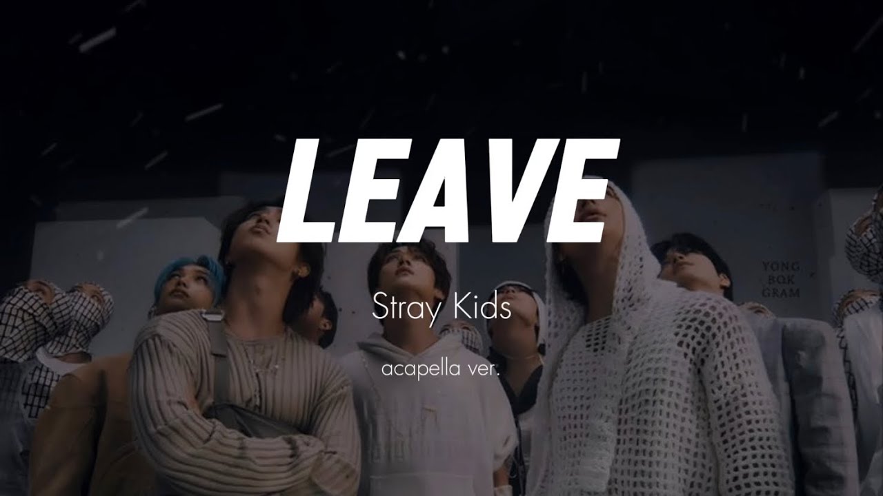 Stray Kids - Leave (clean acapella)