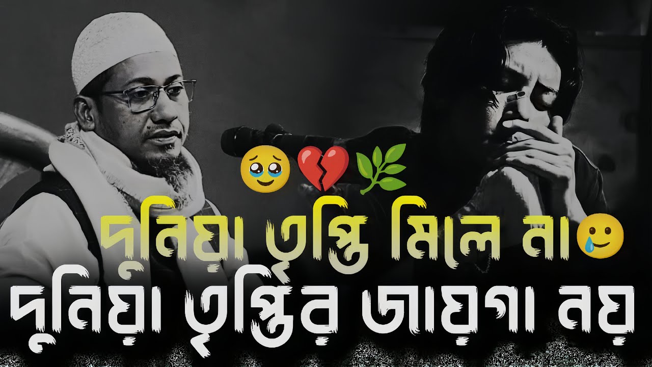 দুনিয়া তৃপ্তি মিলে না,দুনিয়া তৃপ্তির জায়গা নয়🎙️আনিসুর রহমান আশরাফী|| Anisur Rahman Ashrafi ||