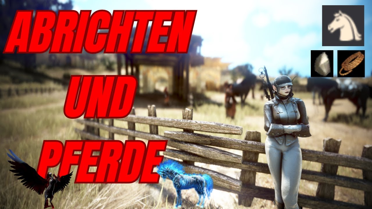 Anfänger Pferde Guide in Black Desert
