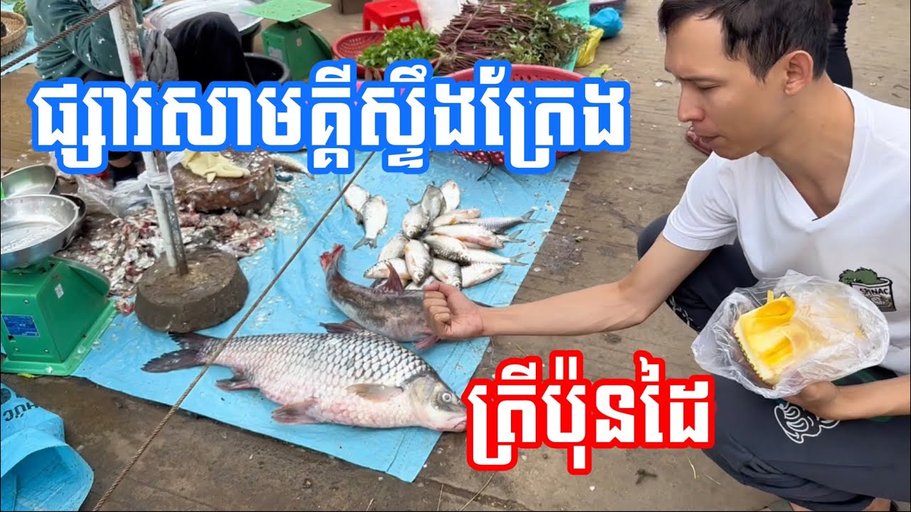 ដើរផ្សារសាមគ្គីស្ទឹងត្រែង Samky Steong Treng Market
