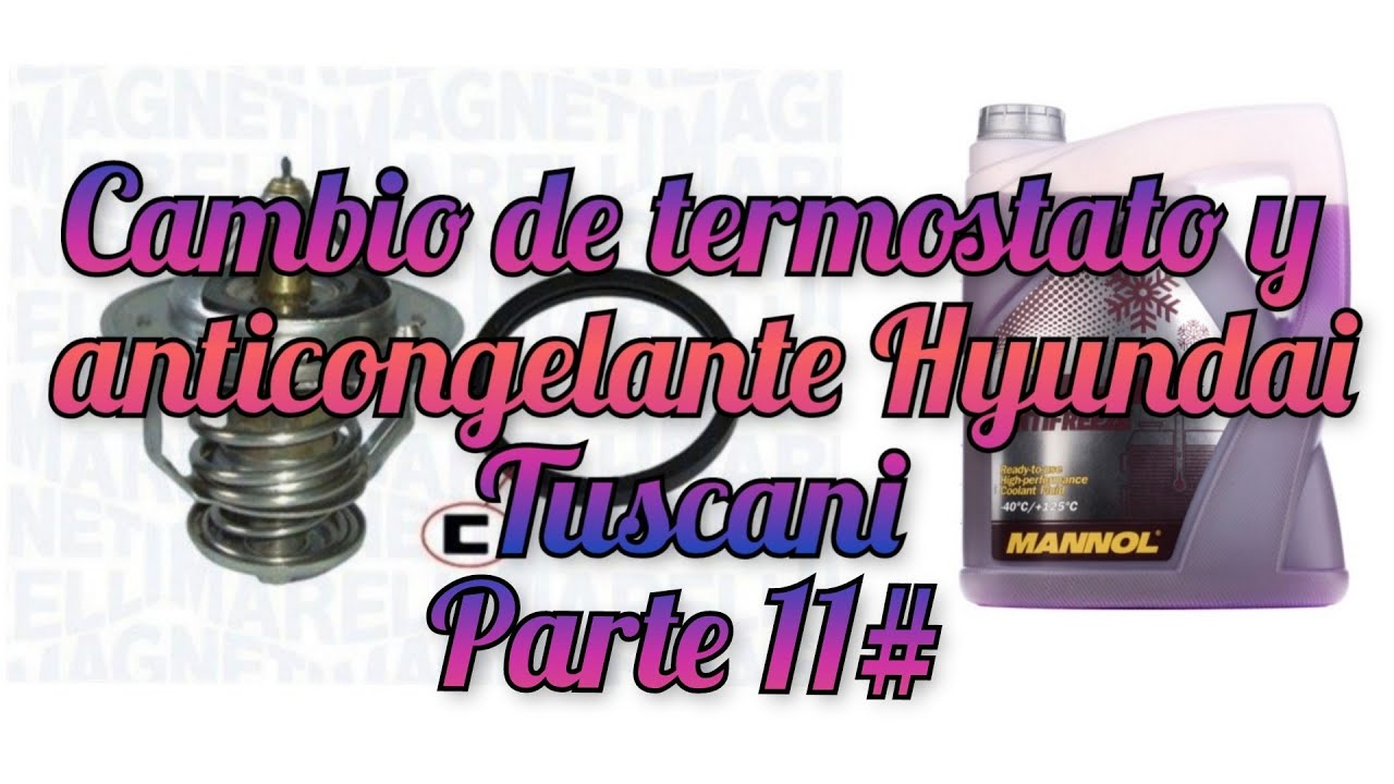 Cambio termostato y refrigerante Hyundai Tuscani Parte 11#