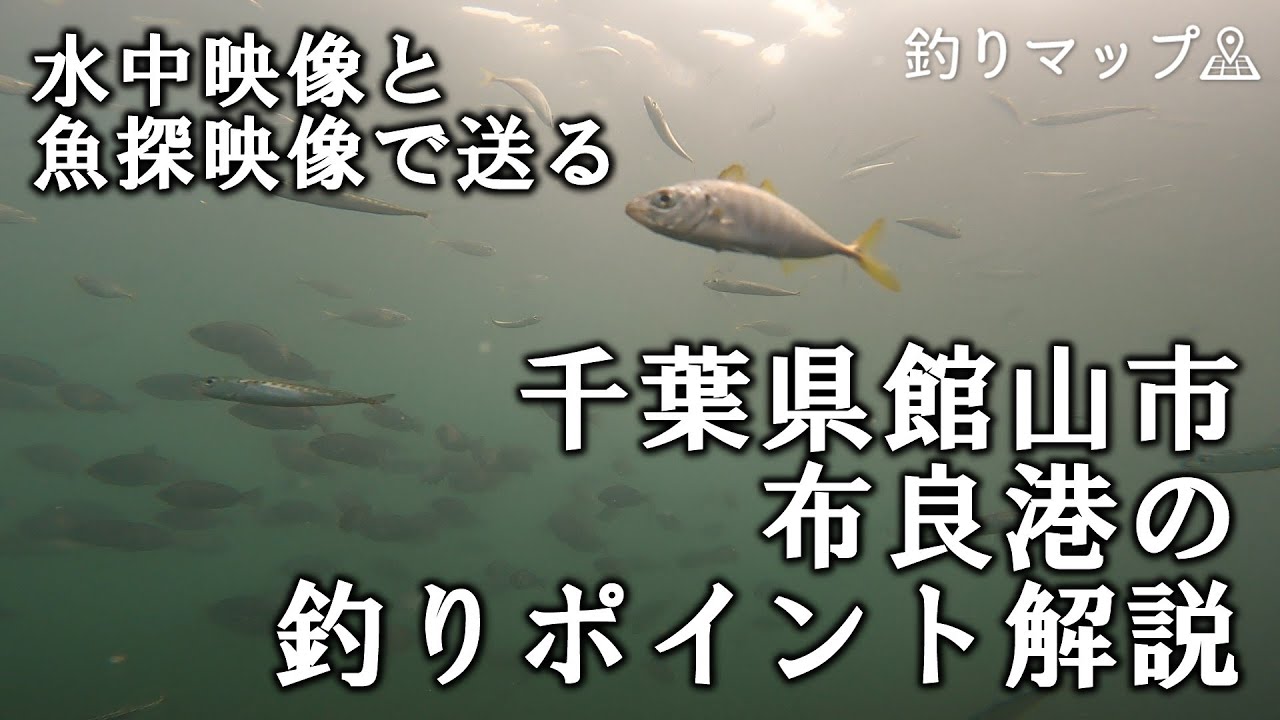 千葉県館山市「布良港（めらこう）」の釣りポイント解説-水中カメラと魚探で送る動画解説