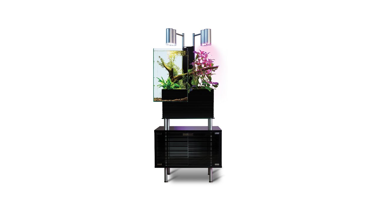 Brio Aquaponics Presentation