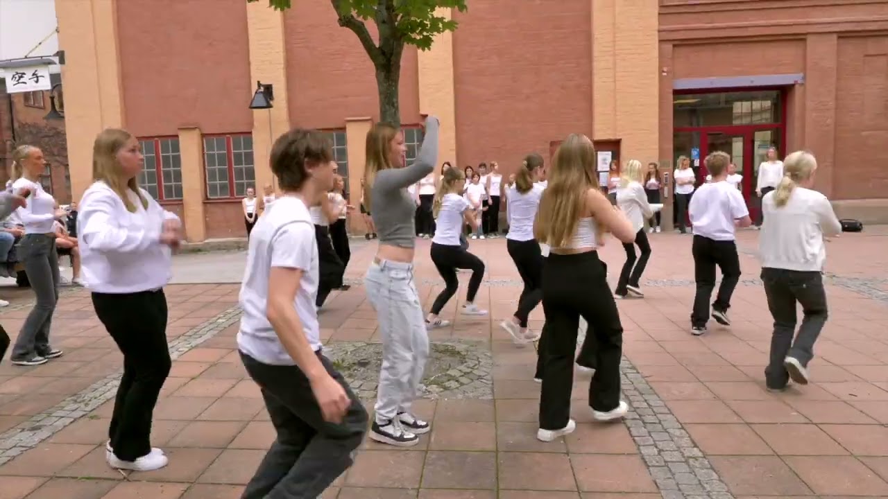 Entréskolan Eskilstuna Dansa för livet