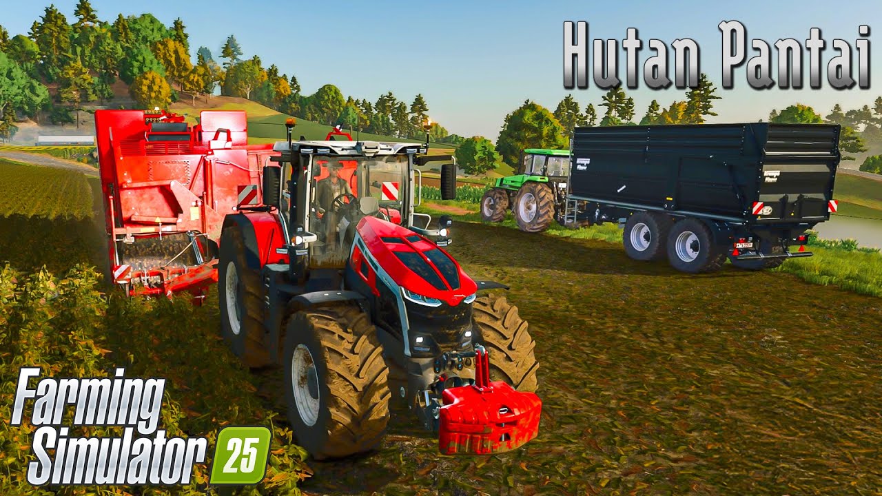 Покупка нового поля и сбор картофеля с помощью GRIMME EVO 290 на Hutan Pantai - FS25! | Эпизод 09