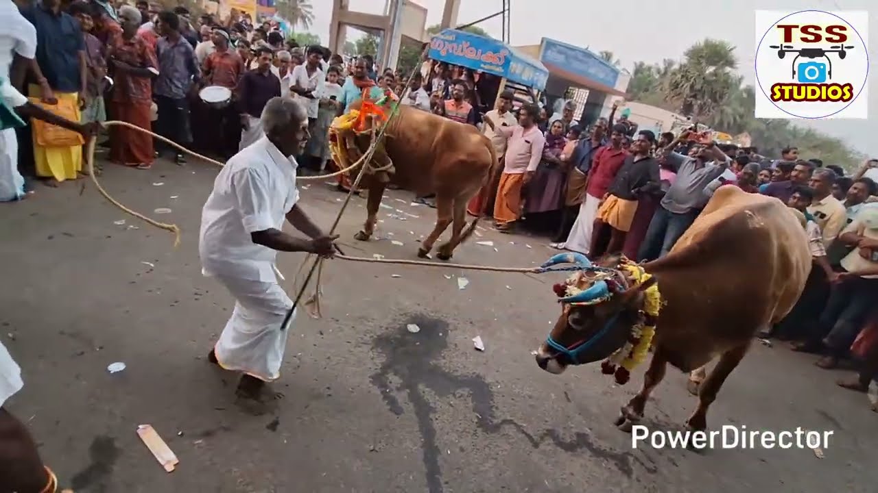 #coimbatore #kallapuram #kinathukadavu #singaiyanpudur #dmk #aiadmk #bjp #malakovil #cow #god #pray