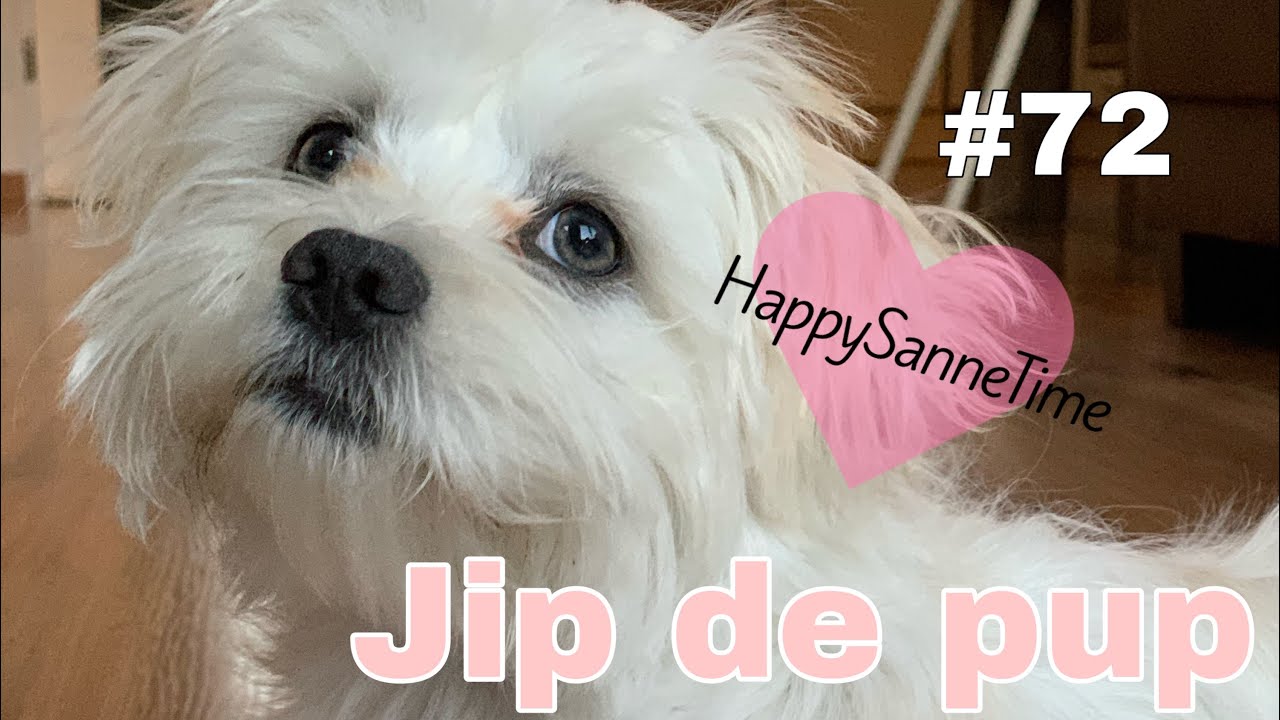Jip de pup VLOG#72 HappySanneTime