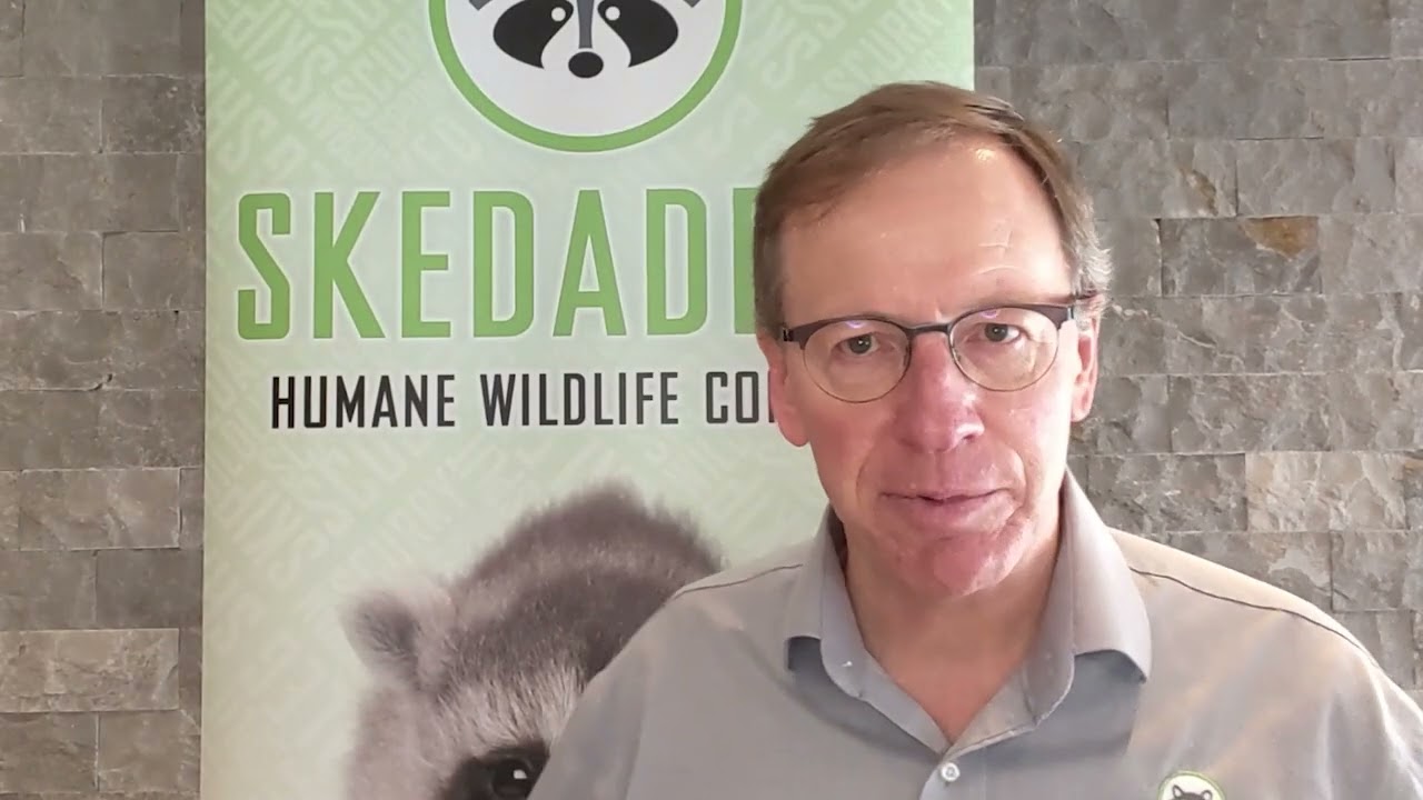 Is Wildlife Knowledge Required As A Skedaddle Franchise Partner? - Skedaddle Franchise