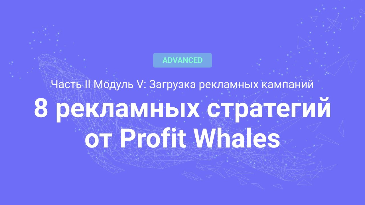 Amazon PPC Course. (Advanced) 8 Рекламных стратегий от Profit Whales (Часть 2.19)