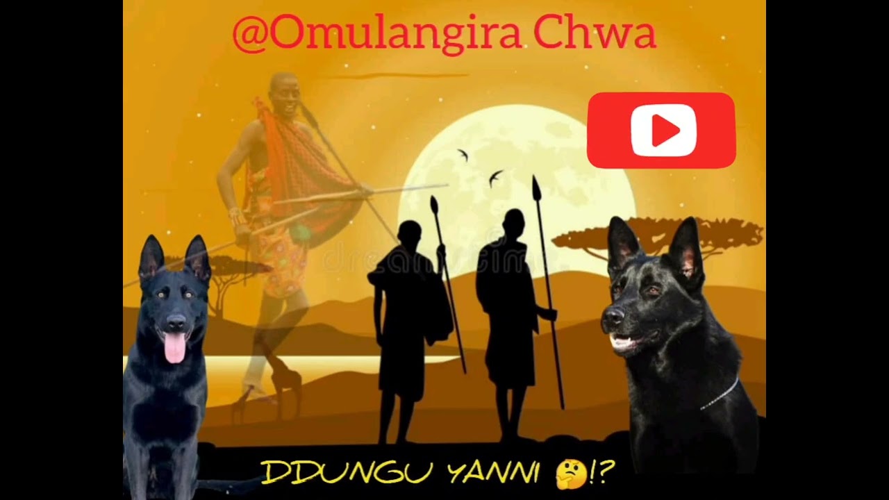 Jjajja Dungu yani?@omulangira Ccwa#sekayigira #etale#kayizi#ensiko