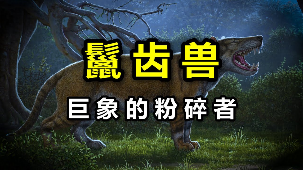 吞象的遠古獸王！ 史上最大的純肉食陸生哺乳動物