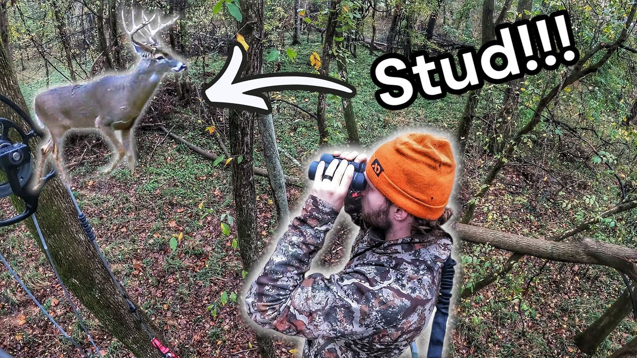 Bowhunting Whitetail Bucks in Tennessee (Self-Filmed)
