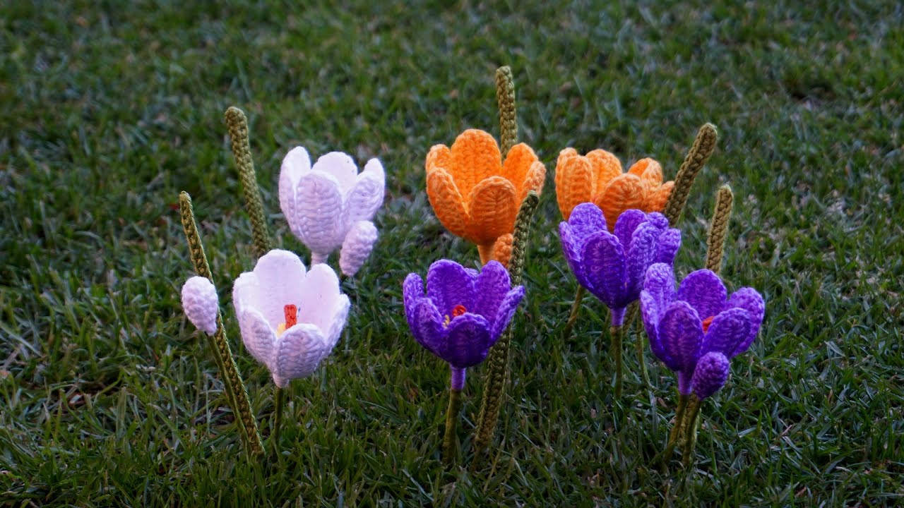 CROCUS, FALSO AZAFRAN EN CROCHET