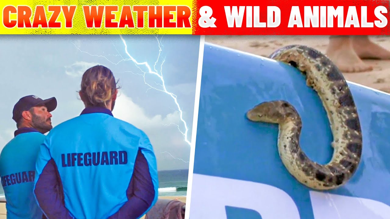 Crazy Weather and Wild Animals: Bondi Rescue's Most Memorable Moments